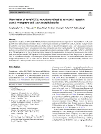 Observation of Novel COX20 Mutations Related to Autosomal Recessive Axonal Neuropathy and Static Encephalopathy