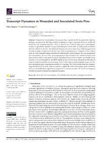 Transcript Dynamics in Wounded and Inoculated Scots Pine