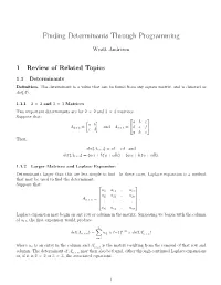 Finding Determinants Through Programming