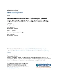 Neuroanatomical Structure of the Spinner Dolphin (Stenella Longirostris Orientalis) Brain from Magnetic Resonance Images