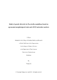 Study of Genetic Diversity in Puccinellia Nuttalliana Based on Agronomic/Morphological Traits and AFLP Molecular Markers
