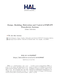 Design, Modeling, Fabrication and Control of PMN-PT Piezoelectric Systems