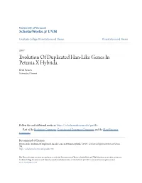 Evolution of Duplicated Han-Like Genes in Petunia X Hybrida. Beck Powers University of Vermont