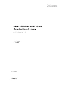 Impact of Harbour Basins on Mud Dynamics Scheldt Estuary
