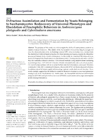 D-Fructose Assimilation and Fermentation by Yeasts