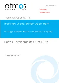 Atmos Consulting Report Template