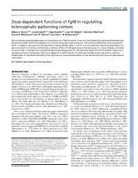Dose-Dependent Functions of Fgf8 in Regulating Telencephalic Patterning