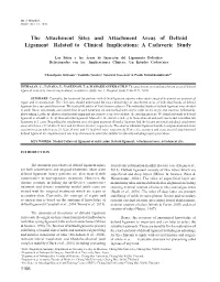 The Attachment Sites and Attachment Areas of Deltoid Ligament Related to Clinical Implications: a Cadaveric Study