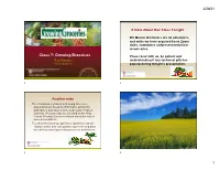 Growing Brassicas Please Bear with Us, Be Patient and Sue Kraemer Understanding If Any Technical Glitches Master Gardener Pop-Up During Tonight’S Presentation
