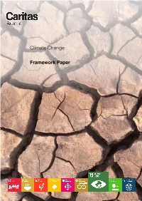 Climate Change Framework Paper