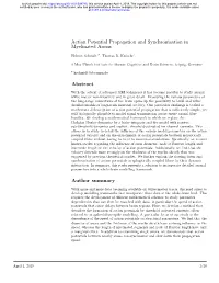 Action Potential Propagation and Synchronisation in Myelinated Axons