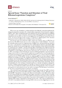 Function and Structure of Viral Ribonucleoproteins Complexes”