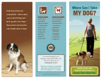 Where Can I Take My Dog?