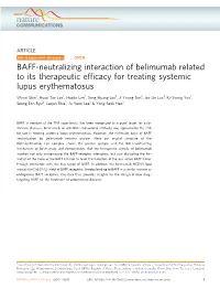 BAFF-Neutralizing Interaction of Belimumab Related to Its Therapeutic Efﬁcacy for Treating Systemic Lupus Erythematosus