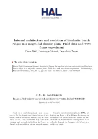 Internal Architecture and Evolution of Bioclastic Beach Ridges in A