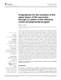 A Hypothesis for the Evolution of the Upper Layers of the Neocortex Through Co-Option of the Olfactory Cortex Developmental Program