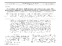 A Review of Virus Infections of Cetaceans and the Potential Impact of Morbilliviruses, Poxviruses and Papillomaviruses on Host Population Dynamics
