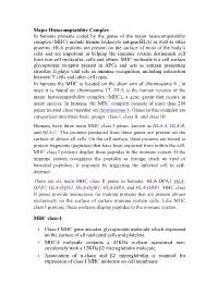 Major Histocomptability Complex in Humans Proteins Coded by the Genes of the Major Histocompatabilty Complex (MHC) Include Human