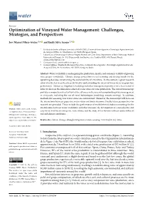 Optimization of Vineyard Water Management: Challenges, Strategies, and Perspectives