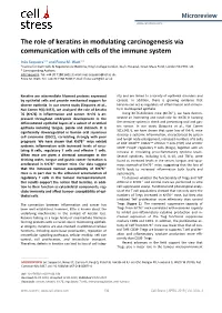 The Role of Keratins in Modulating Carcinogenesis Via Communication with Cells of the Immune System