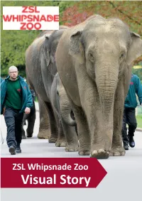 ZSL Whipsnade Zoo Visual Story Before Visiting Whipsnade Zoo