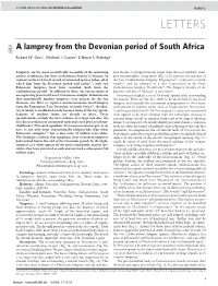 A Lamprey from the Devonian Period of South Africa