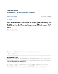 The Effect of Media Composition on Nitrile Hydratase Activity and Stability, and on Cell Envelope Components of Rhodococcus DAP 96253