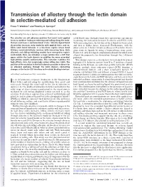 Transmission of Allostery Through the Lectin Domain in Selectin-Mediated Cell Adhesion