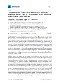 Comparing and Contrasting Knowledge on Mules and Hinnies As a Tool to Comprehend Their Behavior and Improve Their Welfare