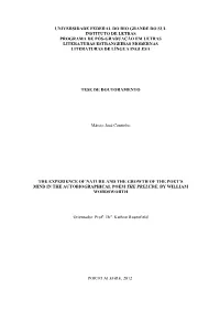 The Experience of Nature and the Formative Process in the Prelude