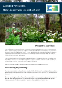 Arum Lily Control