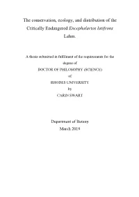 Life History, Population Dynamics and Conservation Status of Oldenburgia Grandis (Asteraceae), an Endemic of the Eastern Cape of South Africa