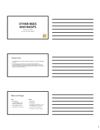 OTHER BEES and WASPS Advanced Level Training Texas Master Beekeeper Program