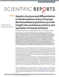 Genetic Structure and Differentiation in Dendrocalamus Sinicus (Poaceae