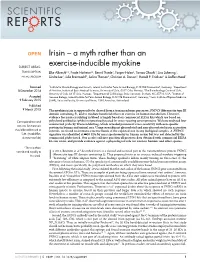 Irisin – a Myth Rather Than An