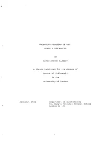 MOLECULAR G EN ETICS of the January, HUMAN X