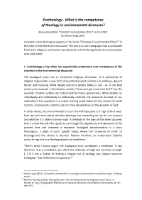 What Is the Competence of Theology in Environmental Discourse?