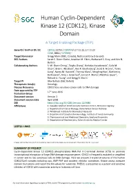 Human Cyclin-Dependent Kinase 12 (CDK12), Kinase Domain a Target Enabling Package (TEP)