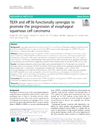 TEX9 and Eif3b Functionally Synergize to Promote the Progression Of