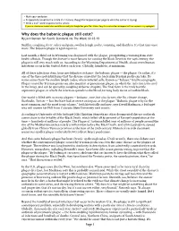 Why Does the Bubonic Plague Still Exist? by Jack Denton for P Acific Standard, Via T He Week, 02-23-19