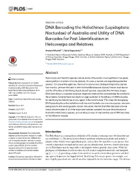 Lepidoptera: Noctuidae) of Australia and Utility of DNA Barcodes for Pest Identification in Helicoverpa and Relatives