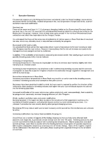 Penguins Report