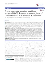 A Gene Expression Signature Identifying Transient DNMT1