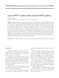Analysis of the Canonical WNT Pathway Simona Giunta Department of Biological Sciences, Brunel University, Uxbridge, Middlesex, UK