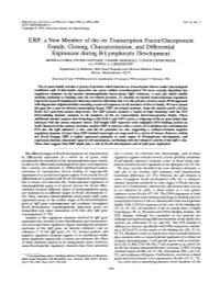 ERP, a New Member of the Ets Transcription Factor/Oncoprotein
