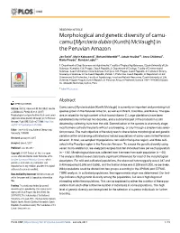 Morphological and Genetic Diversity of Camu-Camu Cies Is Valued for Its High Content of Fruit-Based Vitamin C