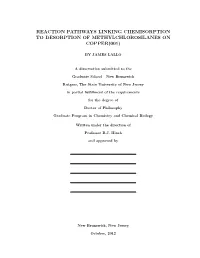 Reaction Pathways Linking Chemisorption to Desorption of Methylchlorosilanes on Copper(001)