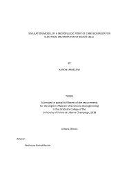 Simulation Model of a Microfluidic Point of Care Biosensor for Electrical Enumeration of Blood Cells