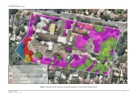 The Extent of Native Vegetation Across the Development Site and Location of Sampling Quadrats