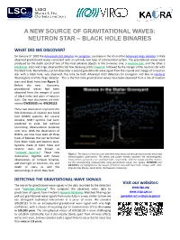 A New Source of Gravitational Waves: Neutron Star – Black Hole Binaries